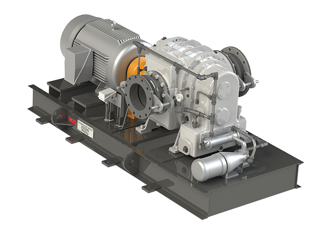 Roots Blower Package