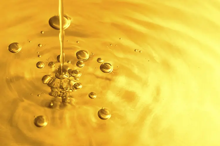 Industry Photo Food and Beverage_Large