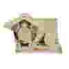 v235x1515hpreciprocatingelectricvacuumpumpprgbjpg.webp