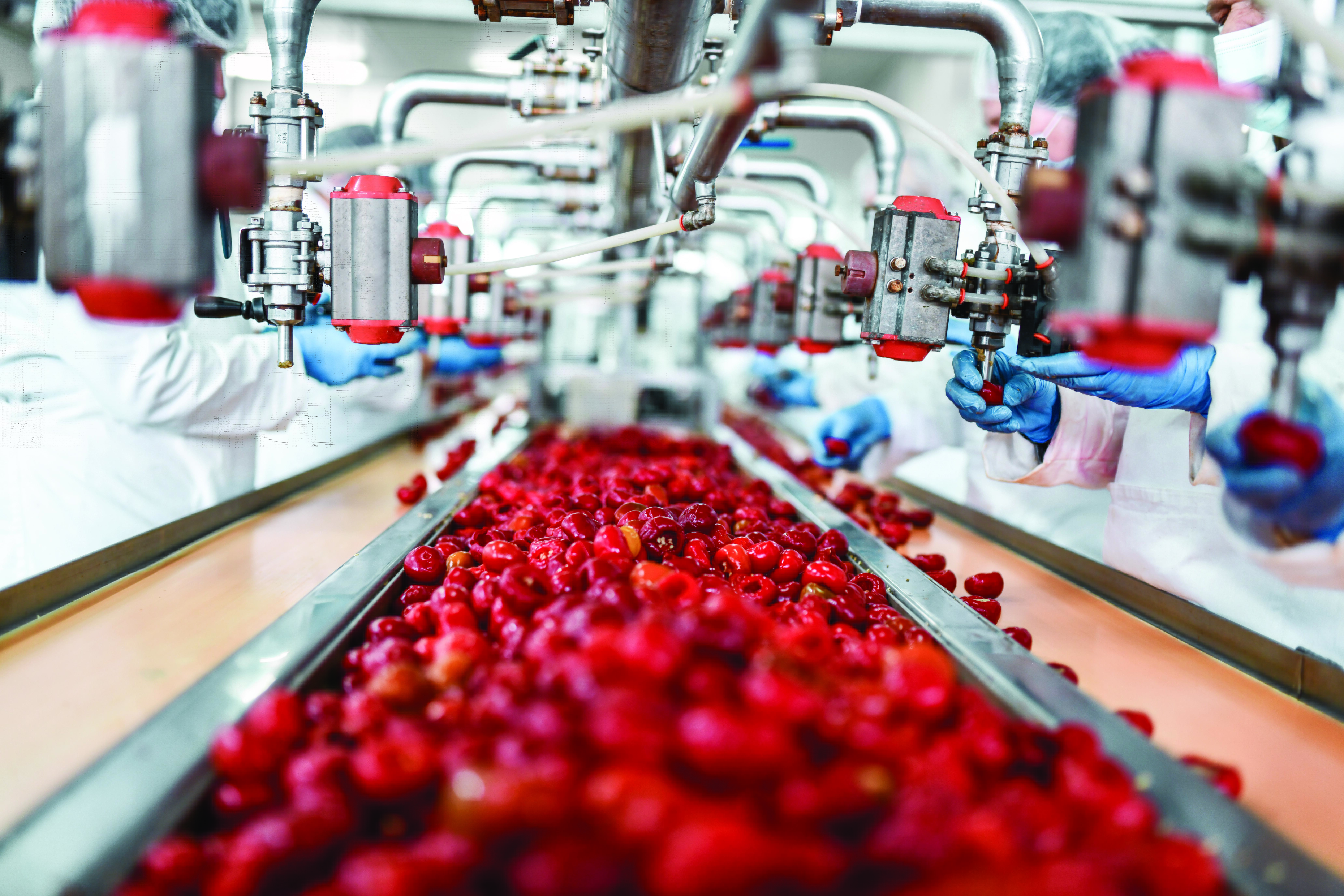 Food and Beverage Industry