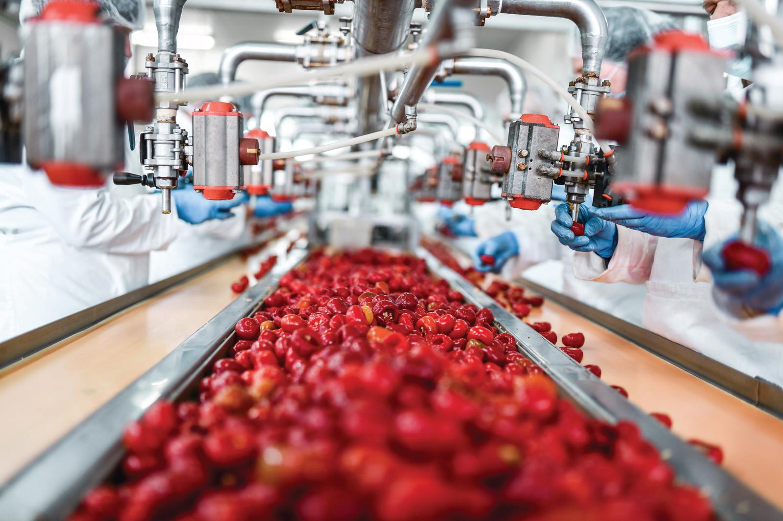 Food and Beverage Industry