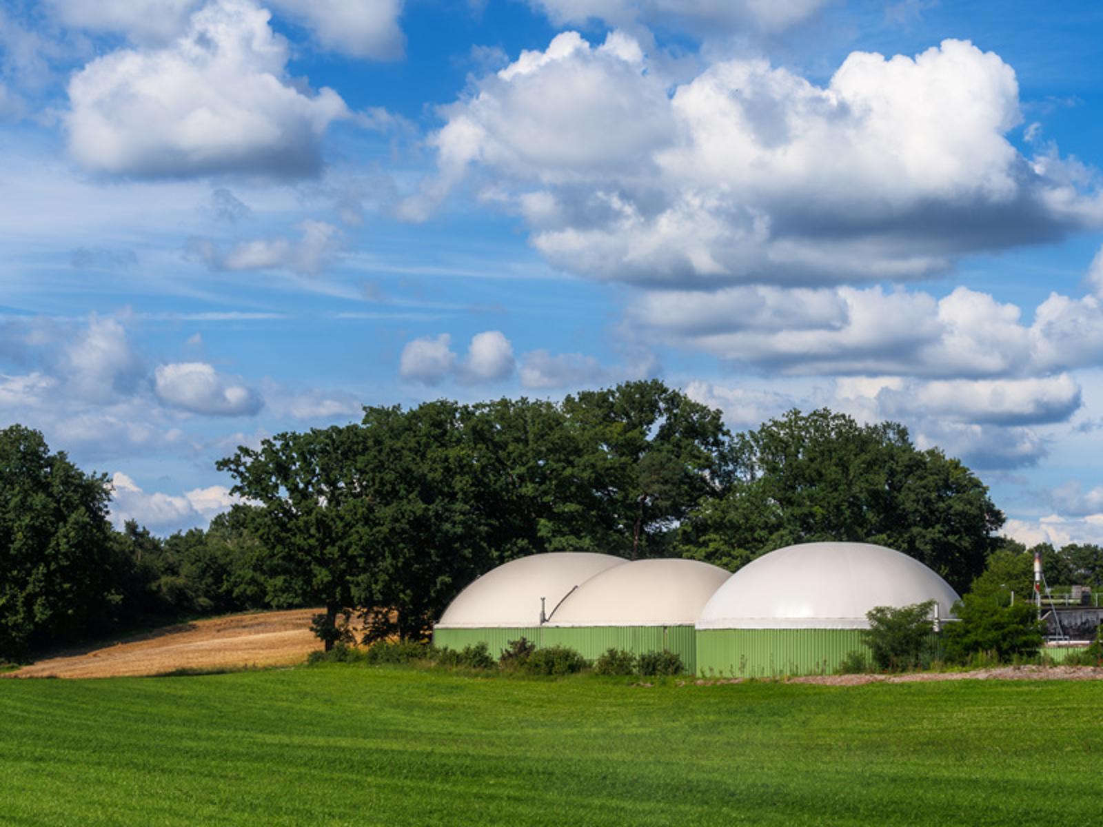 Biogas_Thailand.jpg