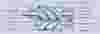 tamrotor air end structure