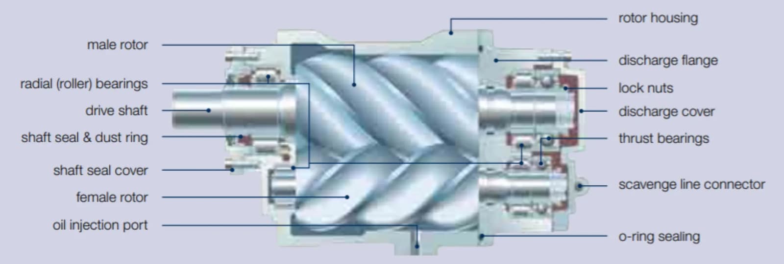 tamrotor air end structure