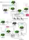 Served Liquefied Natural Gas Cameron Manual Hires Diagrams