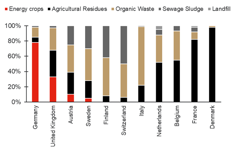 Feedstock Diversity is Europe’s Advantage