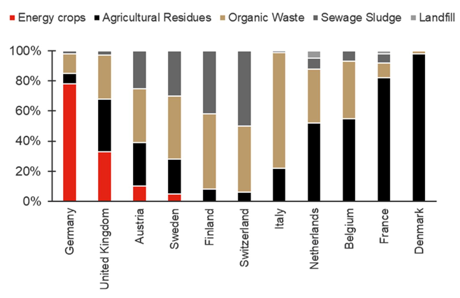 Feedstock Diversity is Europe’s Advantage
