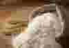 food and beverage.png