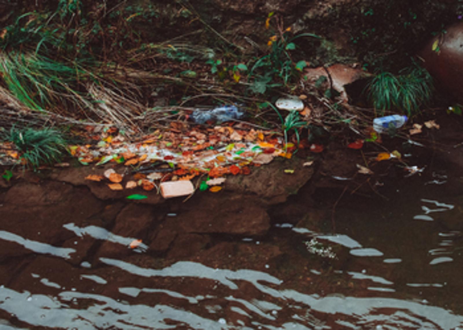 Wet Waste