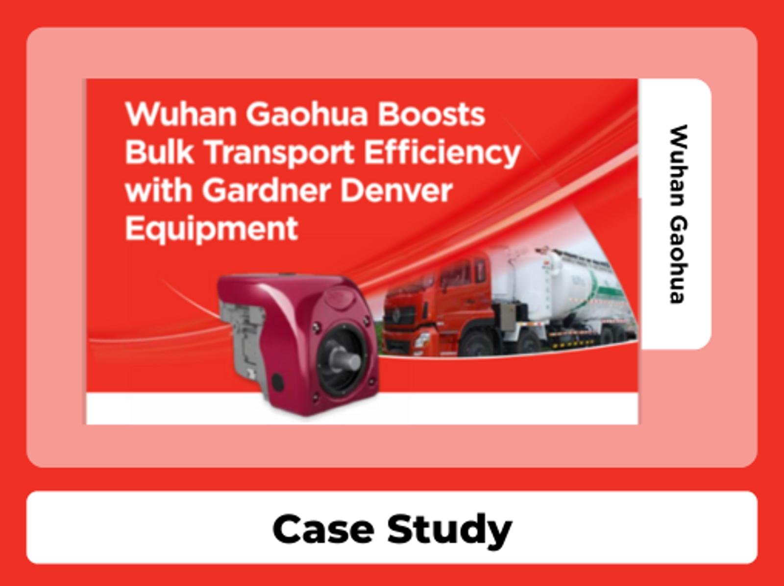 GDT - Case Study - Wuhan.png