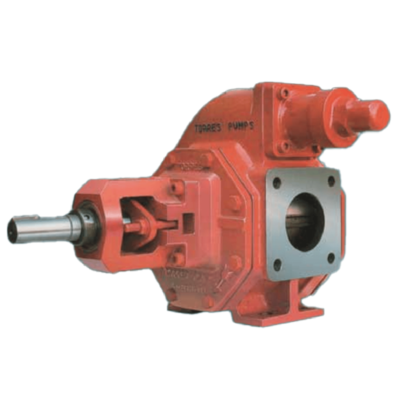 Effiziente und vielseitige Mustang 75/100 Pumpe für jede Flüssigkeit