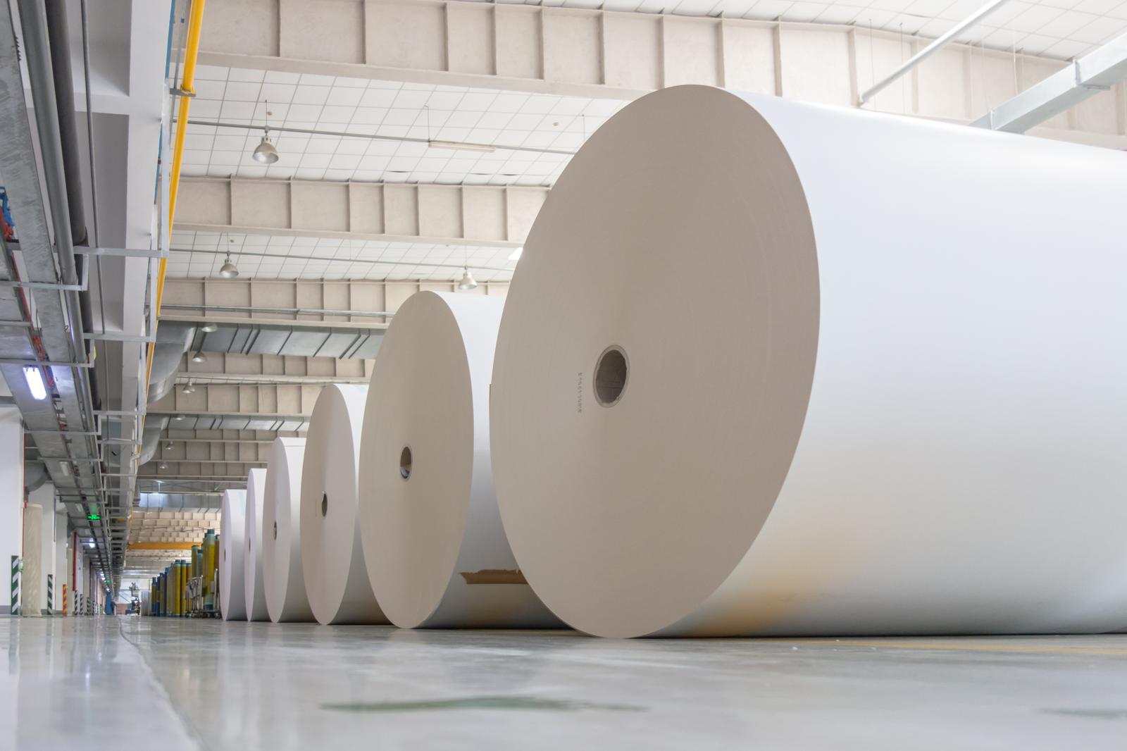 paper industry.png