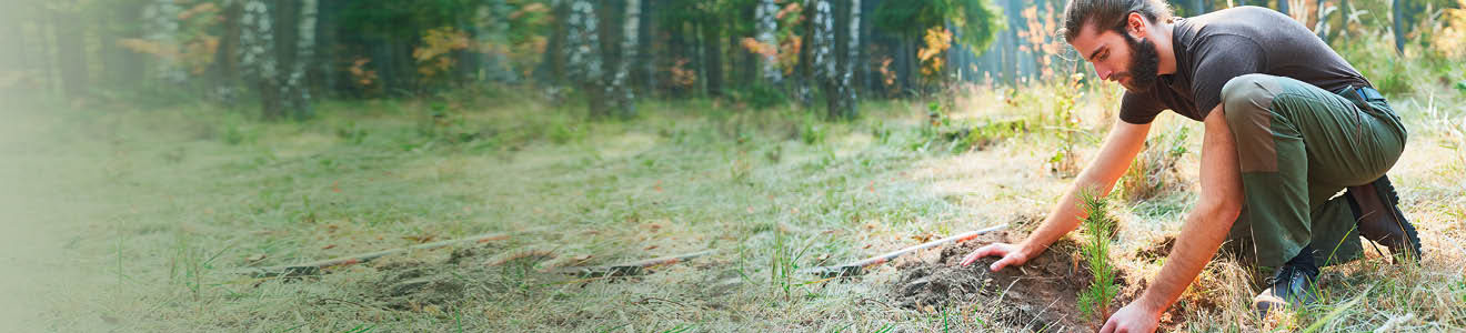 why go green header banner
