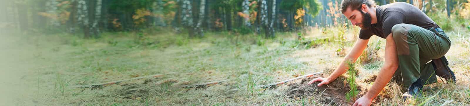 why go green header banner