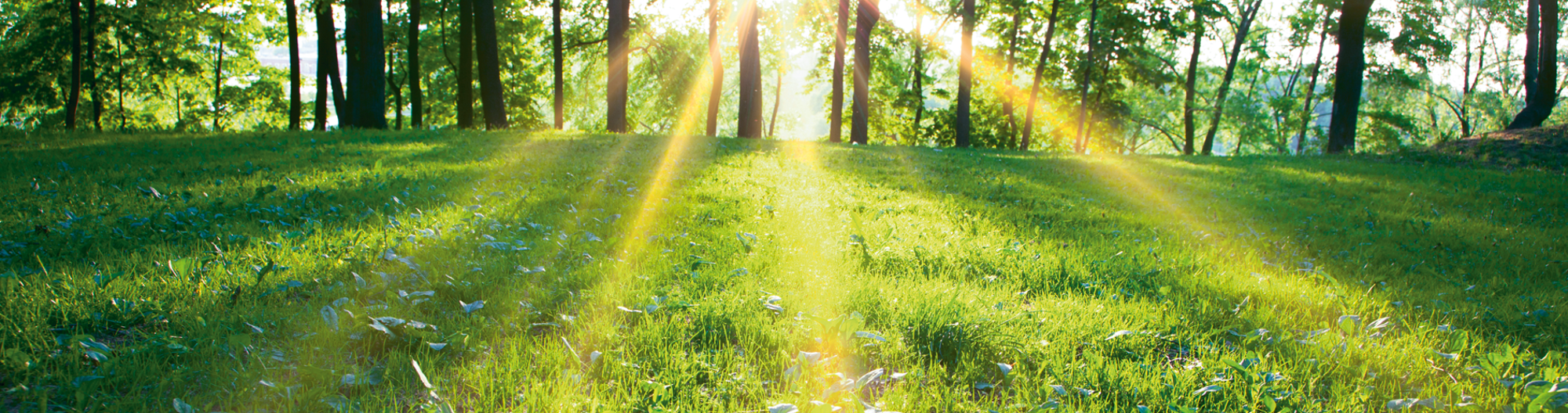 heat-recovery-lubricated-banner