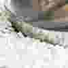 pharma-teaser.jpg