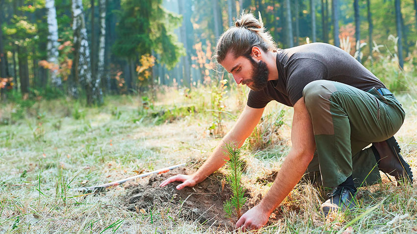 sustainable-compressed-air-tree-planting