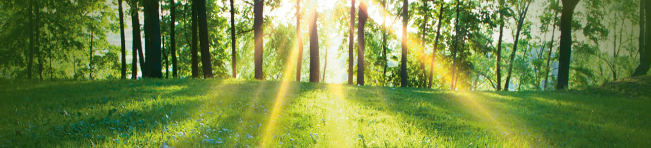 visuals_sustain_compair_ot