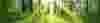 visuals_sustain_compair_ot
