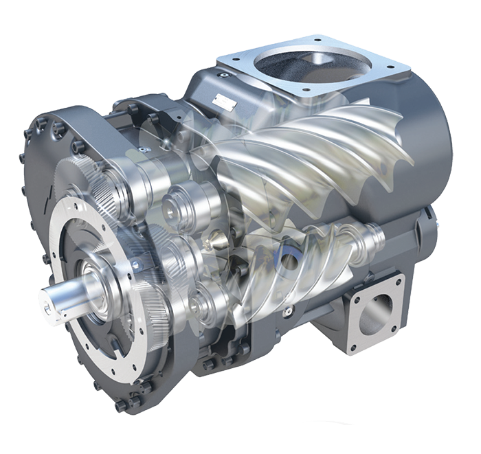 Immagine in sezione dell'elemento compressore GD10-DS
