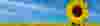 heat-recovery-oil-free-banner