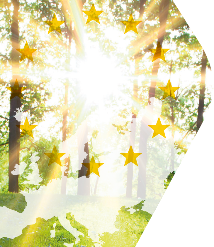 Étoiles de l’UE sur une Europe forestière symbolisant les objectifs climatiques et de durabilité