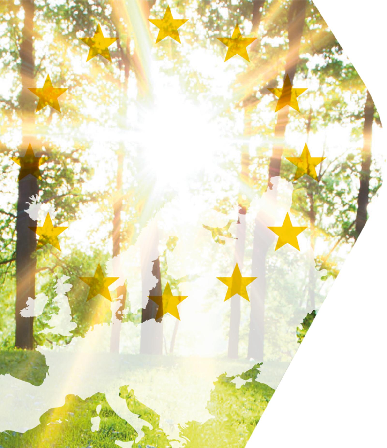 EU‑Sterne über einem bewaldeten Europa als Symbol für Klima‑ und Nachhaltigkeitsziele