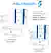 small-footprint-es_design-1