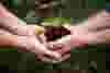 image-grow-sustainably-cover-page.jpg
