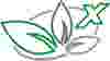 greenX