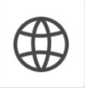 Global icon
