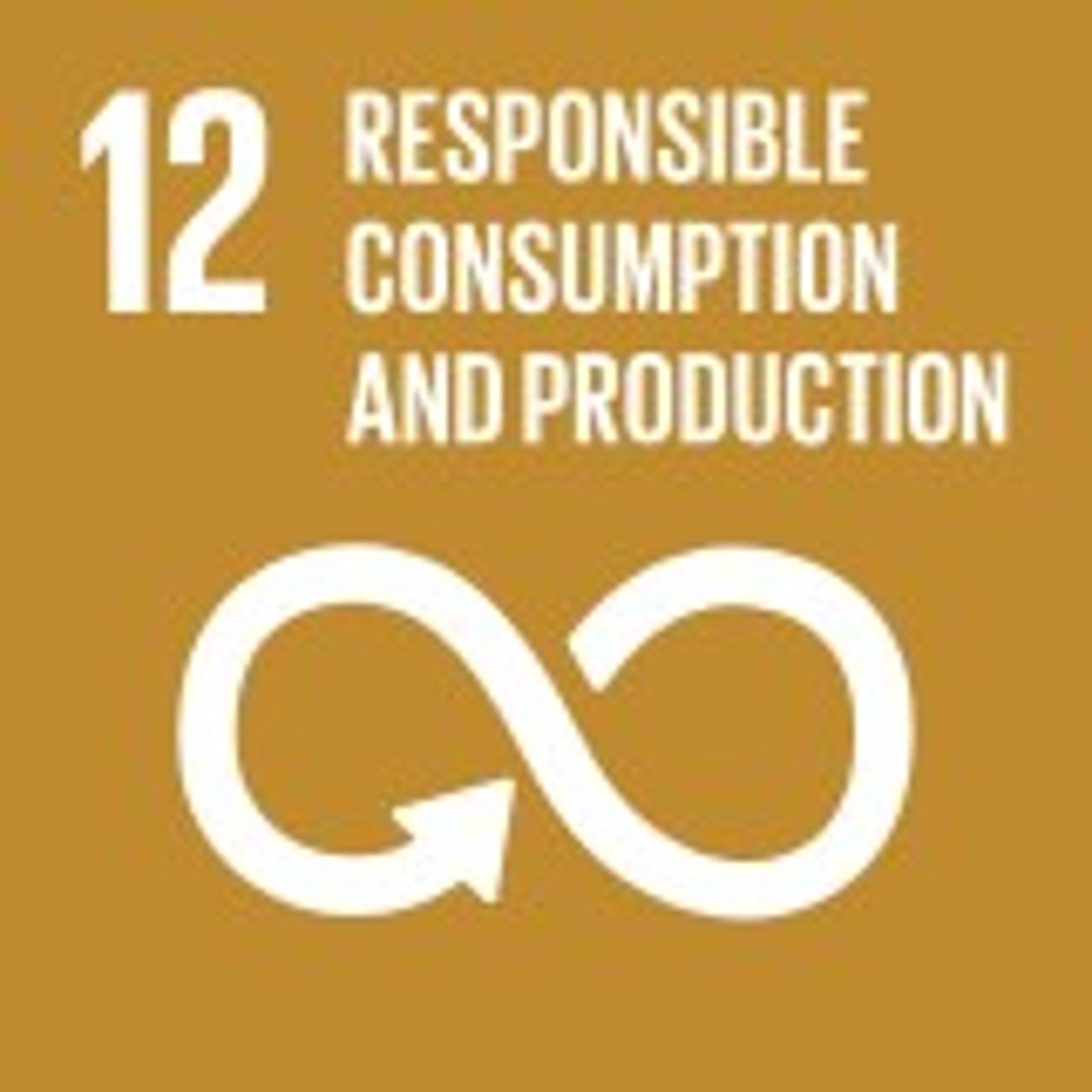 responsible consumption and production