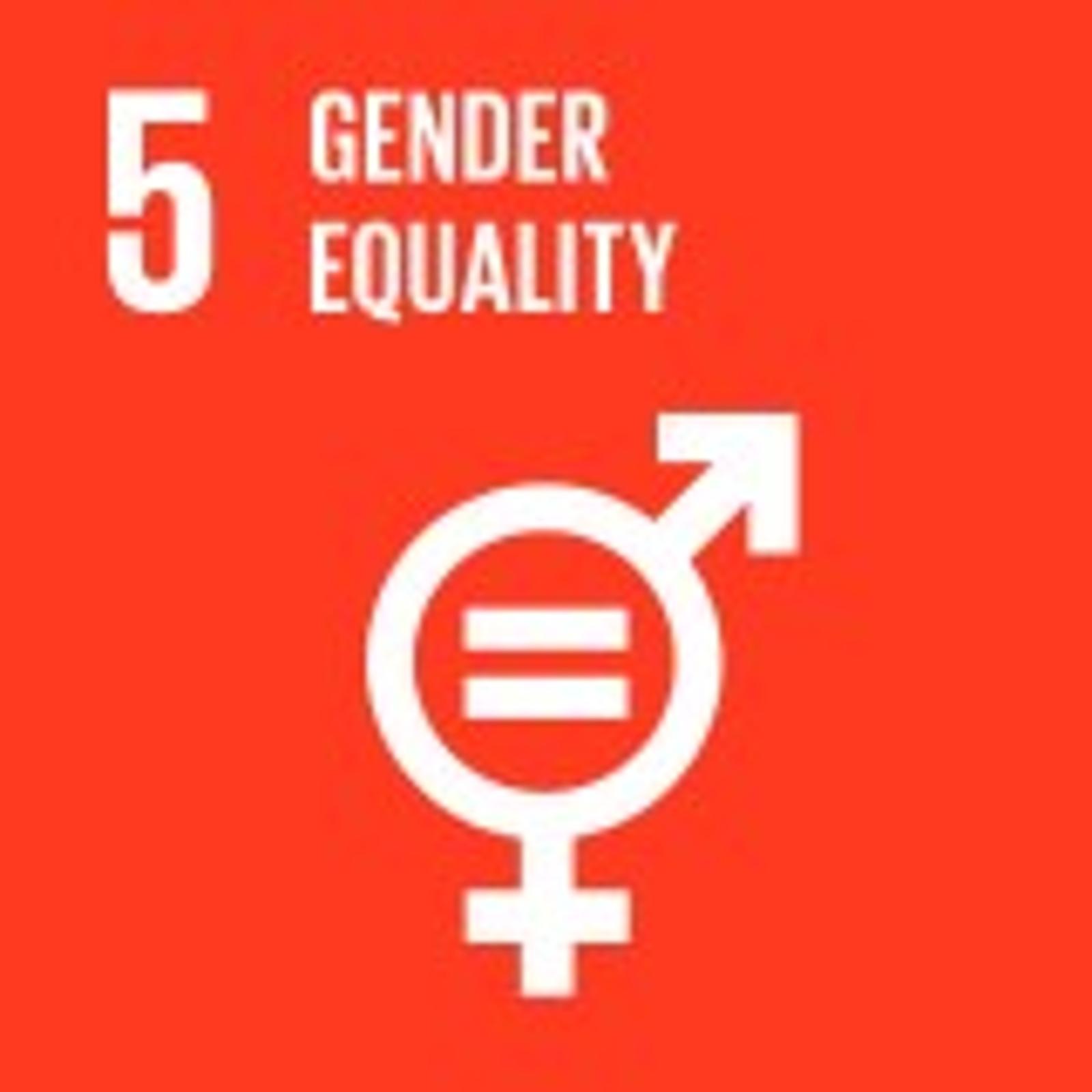 gender equality orange