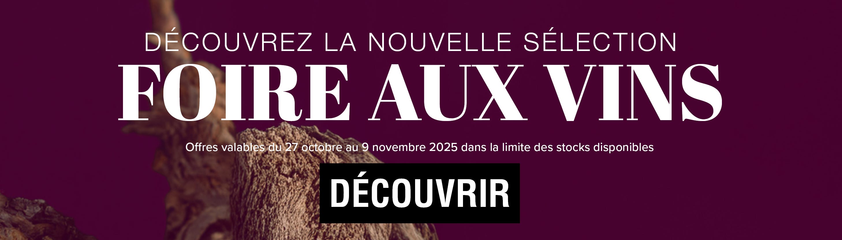foire aux vins