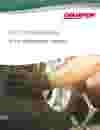 Automotive App Note - Snippet.JPG