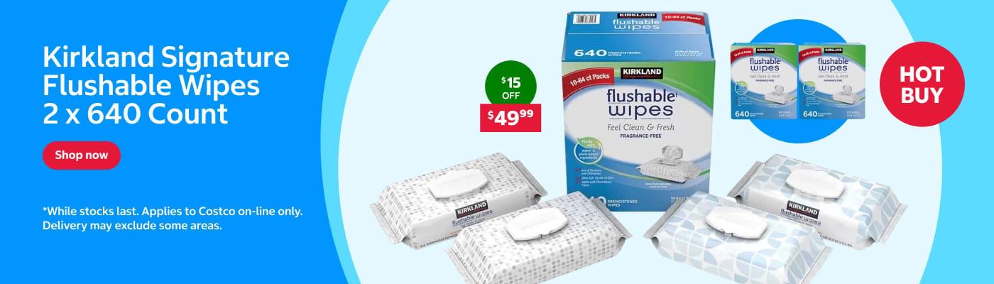 Kirkland Signature Flushable Wipes 2 x 640 Count