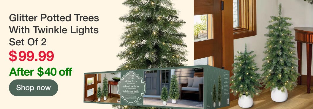 Glitter Potted Trees With Twinkle Lights Set Of 2