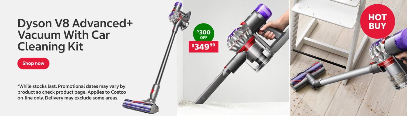 Dyson V8 Advanced+ Vacuum With Car Cleaning Kit