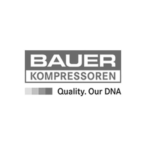 van-elewout-merk-logo-bauer-zw.png