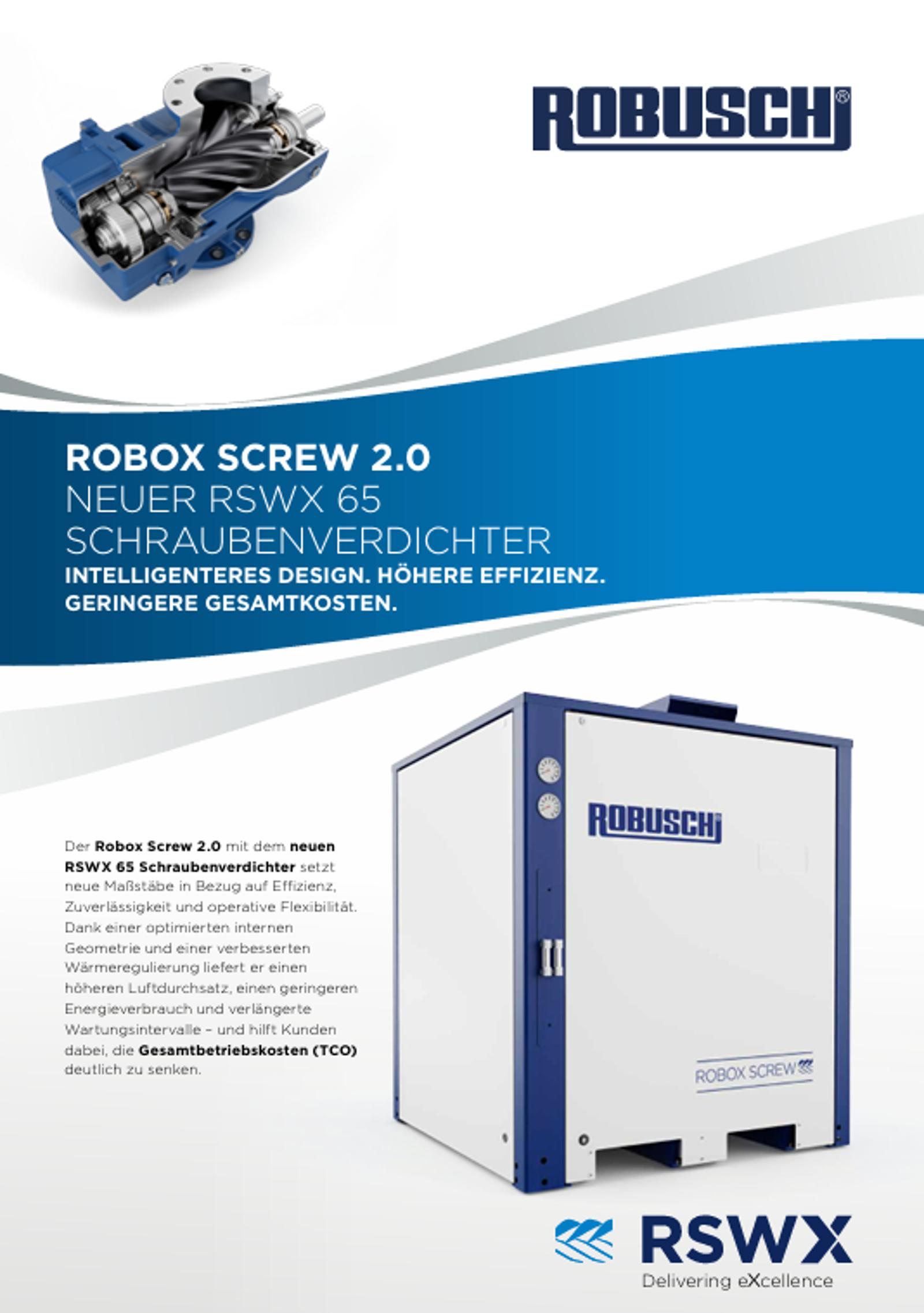 RSWX flyer cover