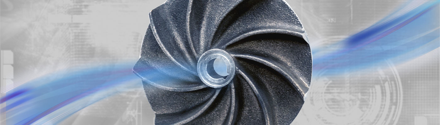 RVS Liquid Ring Vacuum Pump and Compressor Service Kits 