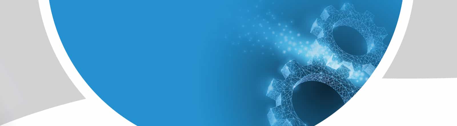 Robuschi Ancillaries