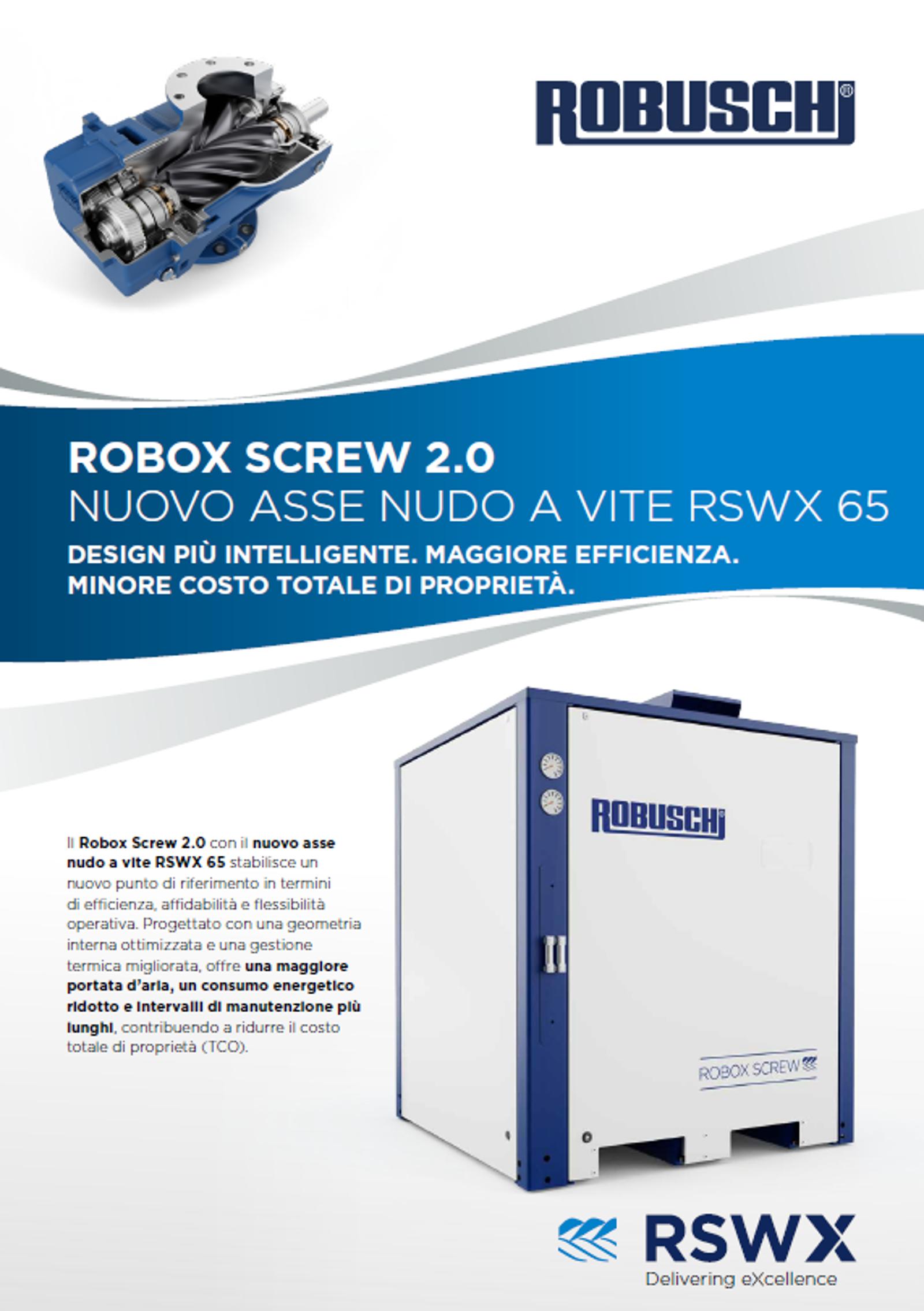 RSWX flyer cover