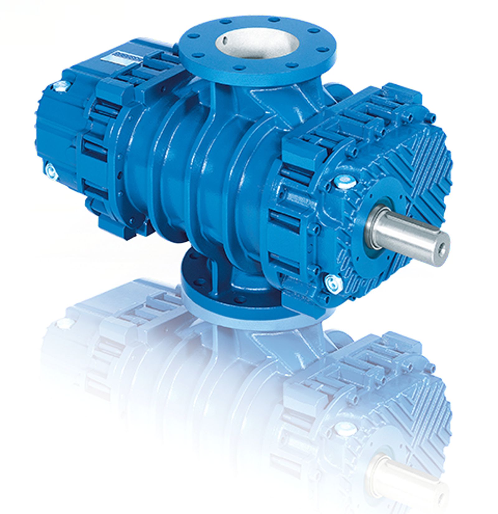 RBS Positive Displacement Blower
