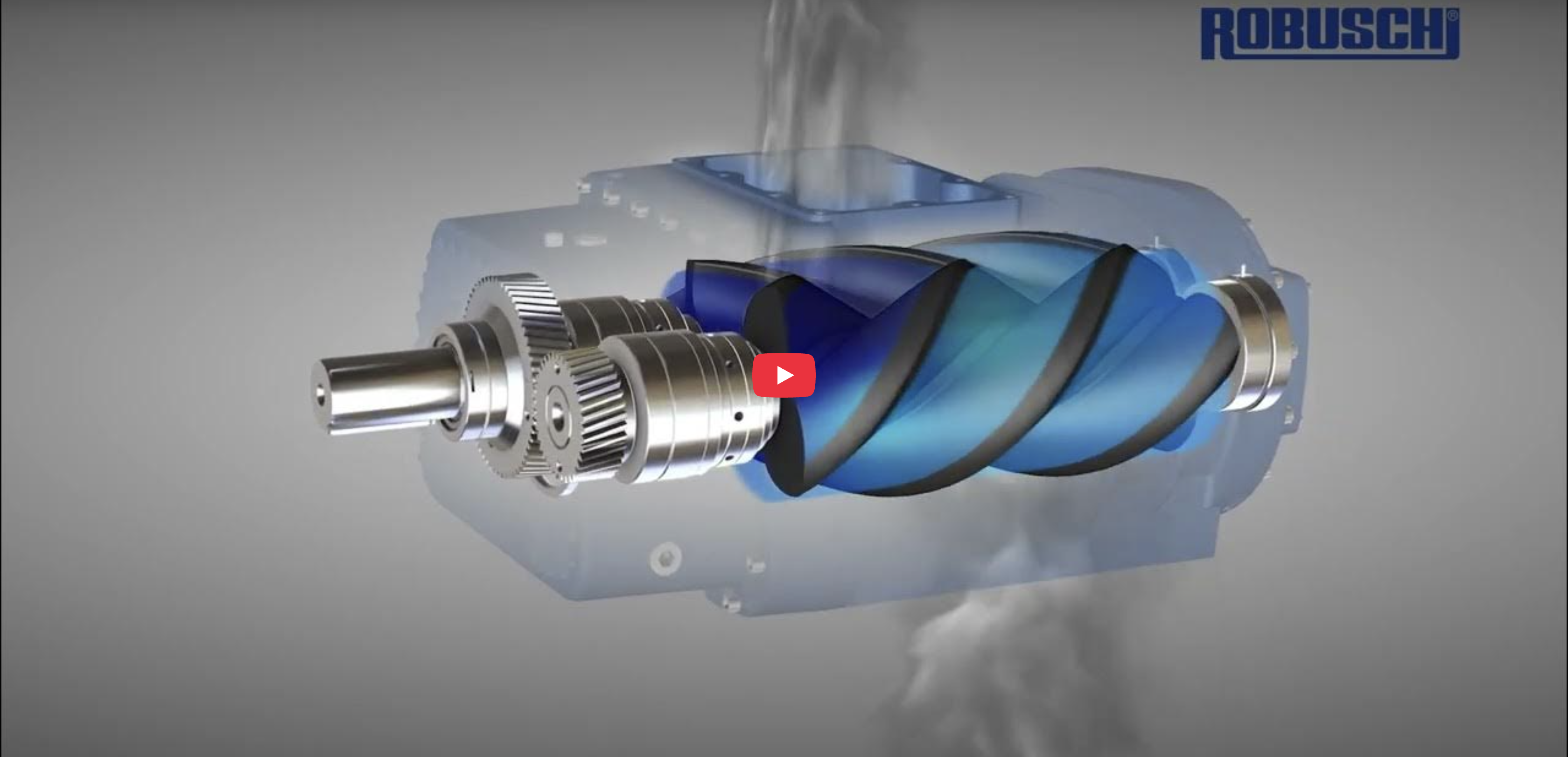 RSW - Low Pressure Screw Compressor and Screw Blower Video