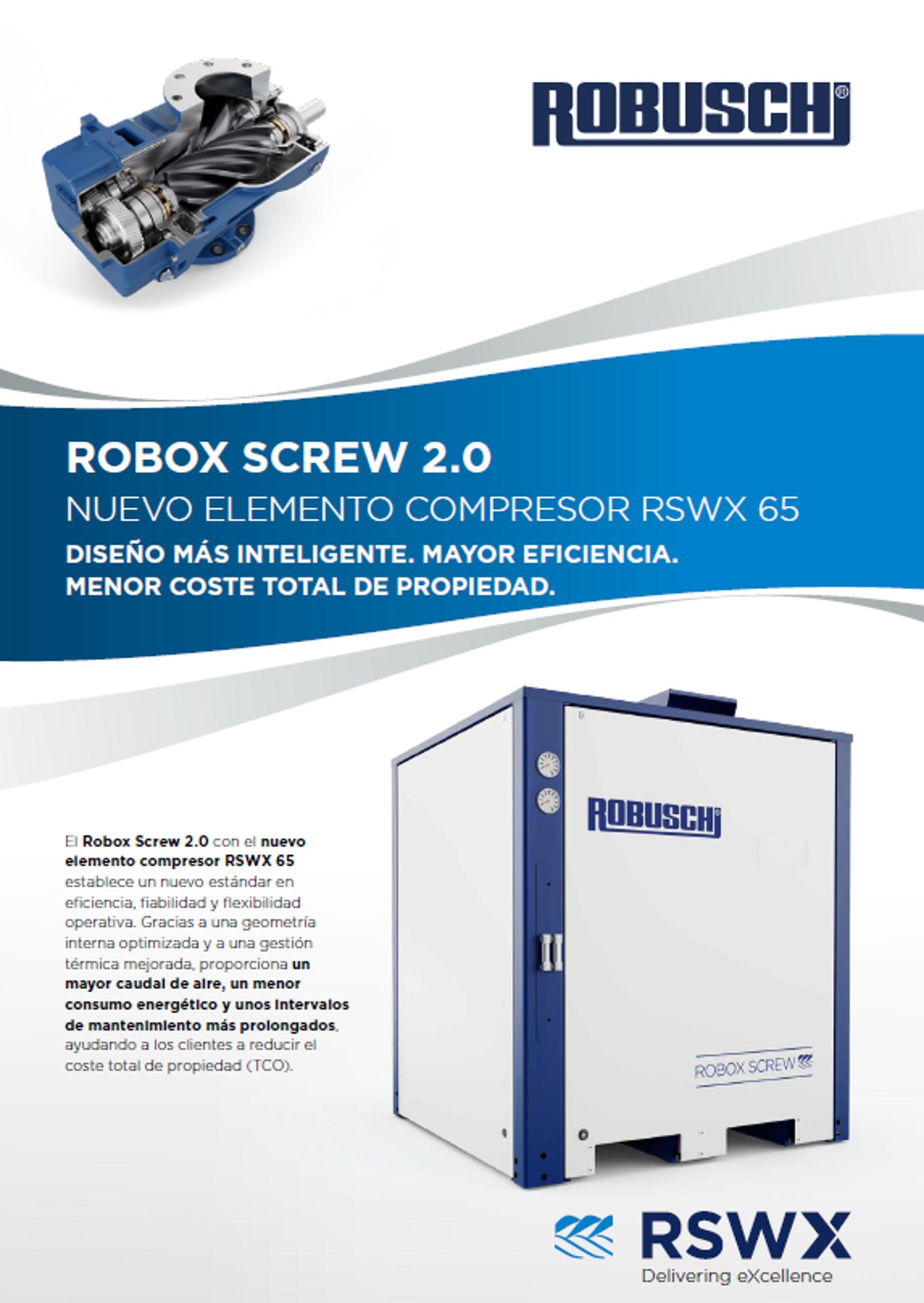 RSWX flyer cover