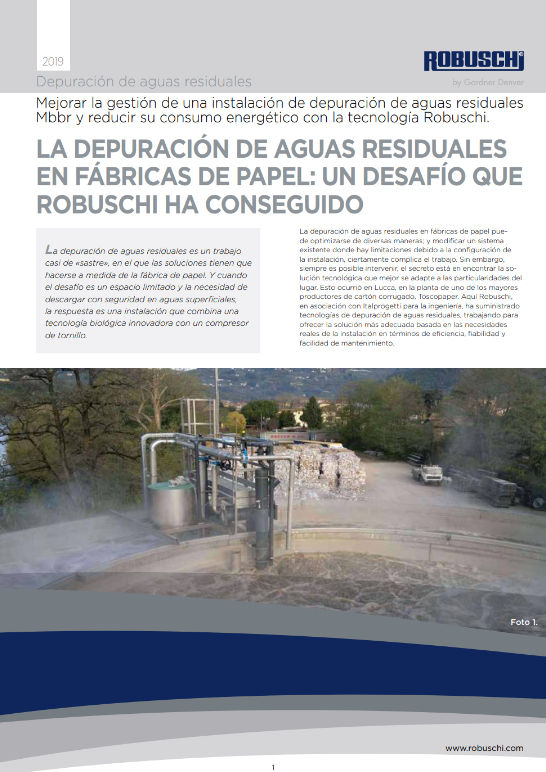 Paper Mill WWT: A Challenge Robuschi Won Case Study