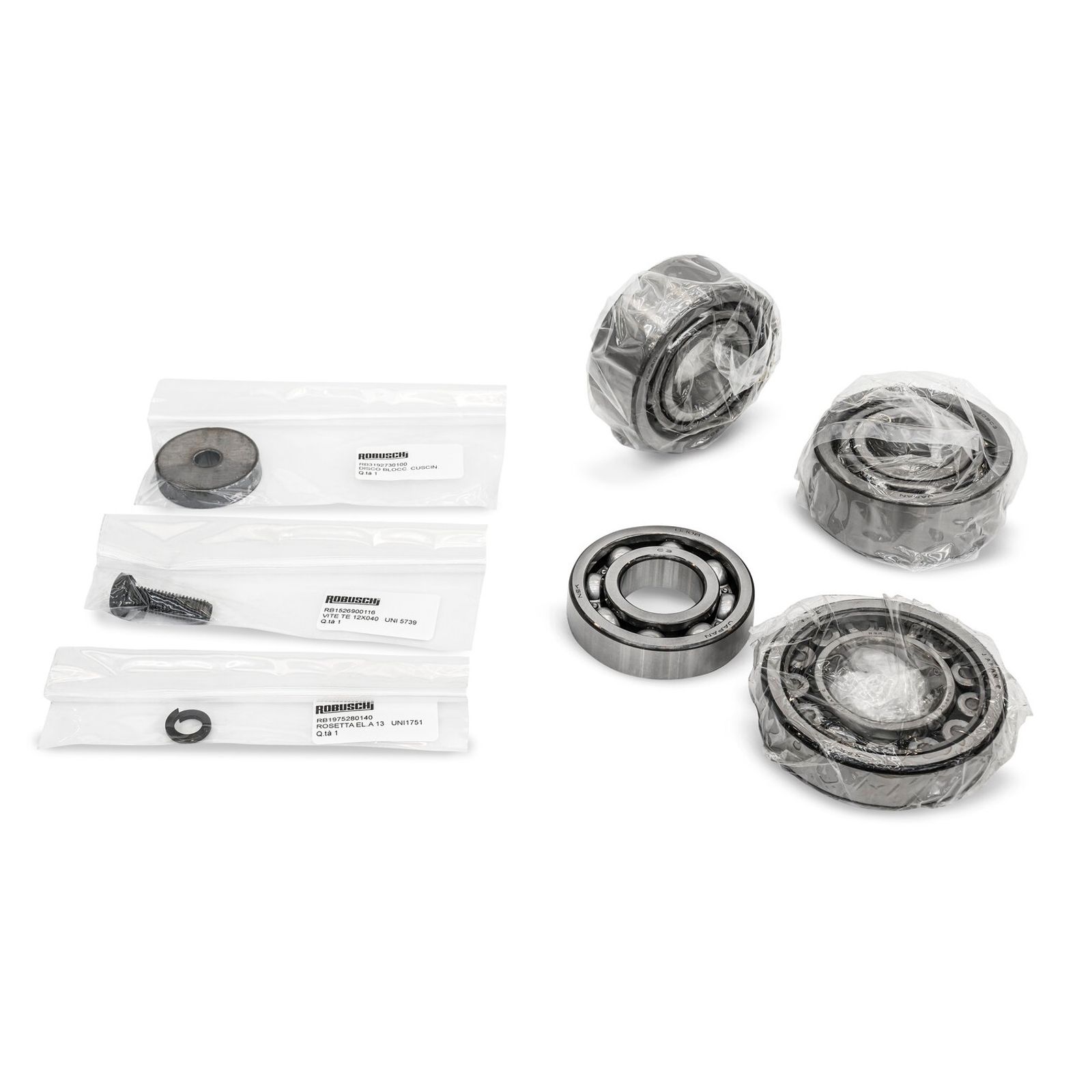 Robuschi RBS 55-65-66, Kit Spare Parts Bearing Std