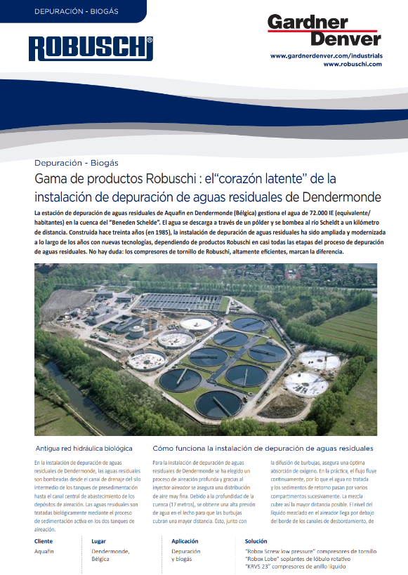 Robuschi at the Core of Dendermonde WWT Plant
