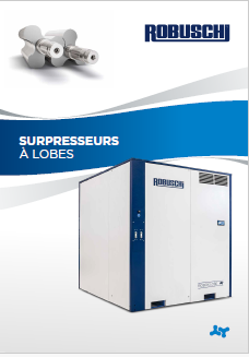 Rotary Lobe Blowers
